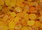 Closeup shot of a pile of hundreds of yellow raisins