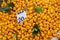 Closeup shot of a pile of oranges being sold in a public market