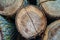 Closeup shot of piled logs with wood rings and crack on the center