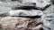 Closeup shot of piled rocks on a blurred background