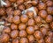 Closeup shot of pine cones next to each other