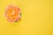 Closeup shot of a polymer clay flower isolated on a yellow background with copyspace