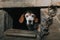 Closeup shot of poor dog chained under a tunnel - dog abused concept