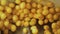 Closeup shot of potatoes being tossed around in an industrial machine for washing vegetables. Food industry concept.