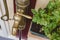 Closeup shot of a potted green plant and antique faucet