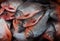 Closeup shot of red-bellied pacu fish for sale