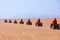 Closeup shot of red Jeeps driving in the desert in Hurghada, Egypt