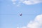 Closeup shot of a red and white ball hangs from a high-voltage power line for air traffic