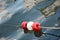 Closeup shot of red and white circles on a rope in the water