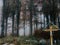 Closeup shot of a religious cross sign olorful trees in an autumn forest