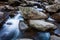 Closeup shot of the rocks in the cascading flow of the river on a cold day