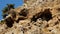 Closeup shot of a rocky area on a mountainside