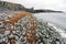 Closeup shot of rocky basalt volcanic textured columns in Kalfshamarsvik in Iceland from the beach during rainy and foggy weather.