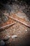 Closeup shot of rocky ground with stones in Eaton Canyon hiking trails