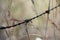 Closeup shot of rustic barbed wire on a blurred background