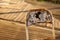 Closeup shot of a rusty chair on a blurred background