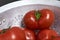 Closeup shot of several freshly rinsed tomatoes