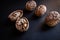 Closeup shot of several full and half walnuts placed in row on an isolated background