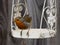 Closeup shot of a singing European robin perched on a swing in a cage