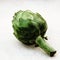 Closeup shot of a single artichoke on a white surface