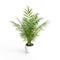 Closeup shot of a single green plant on a flowerpot on a white background.