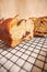 Closeup shot of a slice of delicious banana bread with chocolate chunks and walnut on a table