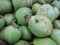 Closeup shot of slightly bruised bright green water coconuts