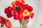 Closeup shot of a small bunch of beautiful red tulips in a vase