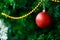 Closeup shot of small lovely seasonal festival decorative bright shiny golden sphere ball hanging on Christmas green pine tree on