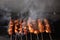 Closeup shot of smoking meat on skewers on a grill