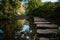 Closeup shot of stepping stones on the water