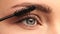Closeup shot, stylist applies black mascara  on the eyelashes of the female eye. Woman making make up using black mascara.