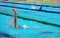 Closeup shot of a swimmer practicing in the swimming pool