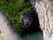 Closeup shot of a Tasmanian devil in the forest