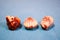 Closeup shot of three Belgian chocolate candies in seashell shapes on a blue textile