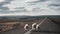 Closeup shot of three sheep standing at the center of the road wit thin clouds background