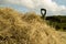 Closeup shot of the top of an iron rake in the pile of dry grass