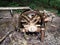 Closeup shot of traditional rotating wooden waterwheel