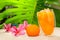 Closeup shot of a transparent glass full of orange juice next to pink plumerias