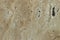 Closeup shot of a travertine stone, travertine texture