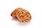 Closeup shot of two textured peach pits isolated on a white background