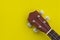 Closeup shot of a ukulele headstock on a yellow background