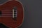 Closeup shot of a ukulele soundboard part on a black background