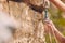 Closeup shot of an unrecognizable man using a carabiner while mountain climbing. Unknown male checking his safety