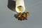 Closeup shot of various brown gallstones from a tube