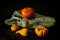 Closeup shot of various squashes