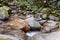 Closeup shot of water flowering through several rocks in the woods