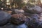 Closeup shot of water flowering through several rocks in the woods