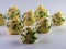 Closeup shot of white chocolates with green sprinkles isolated on a white background