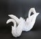 Closeup shot of white origami swans on a black desk